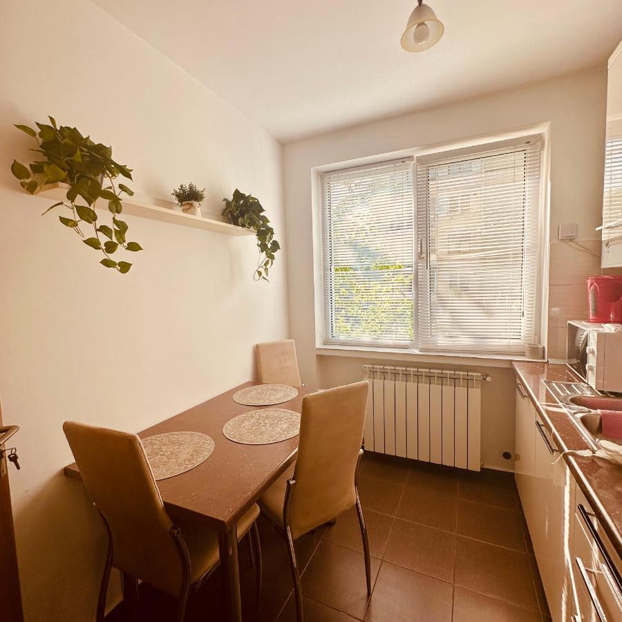 Sweet Apartament Baia Mare Exterior photo